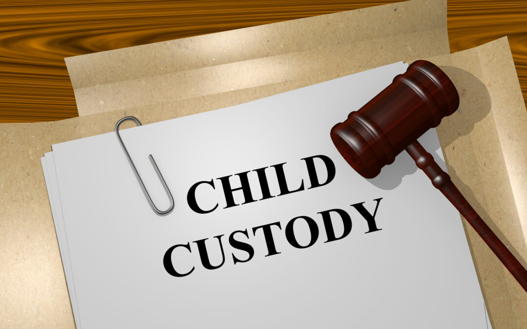 types of child custody