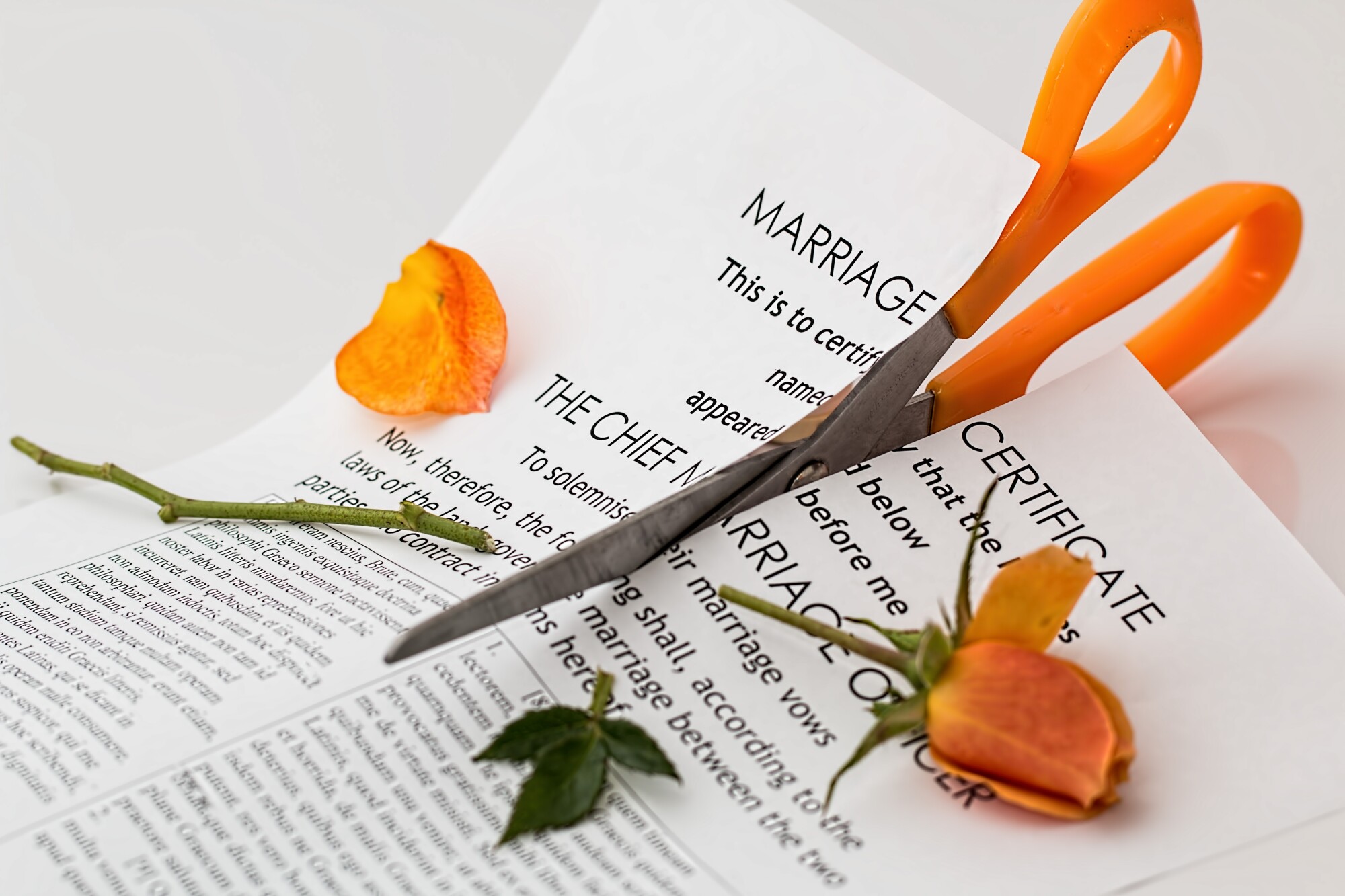 What Is The Difference Between An Annulment And A Divorce